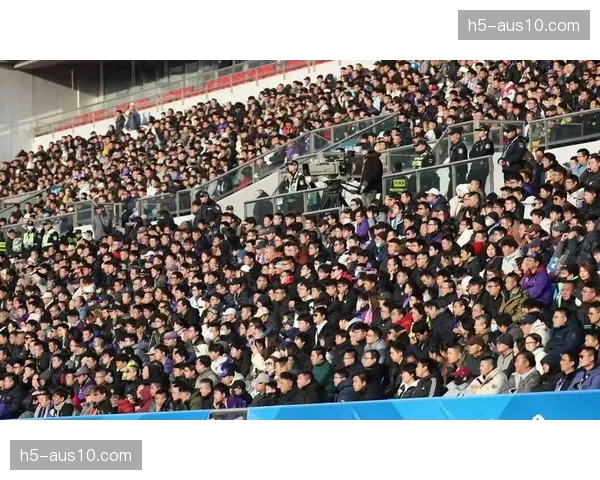 津门虎终结八轮不胜 基莱斯谢蒂内外援连线激活进攻端